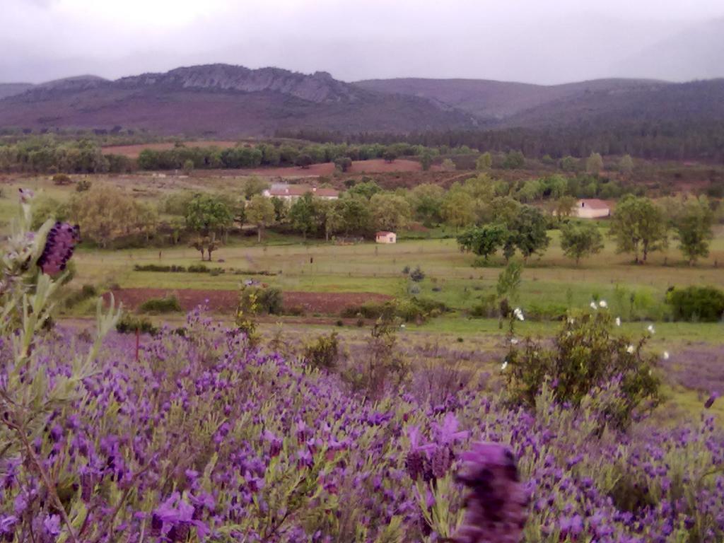 Las Lucias, Experiencias De Ecoturismo Navatrasierra Exterior foto